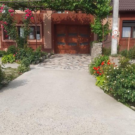 Casa Elena Eselnita Ξενοδοχείο Εξωτερικό φωτογραφία