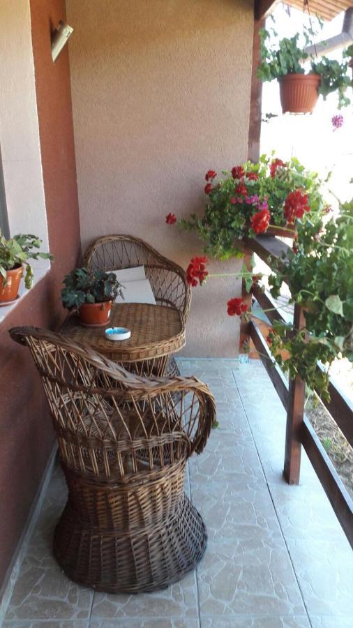 Casa Elena Eselnita Ξενοδοχείο Εξωτερικό φωτογραφία