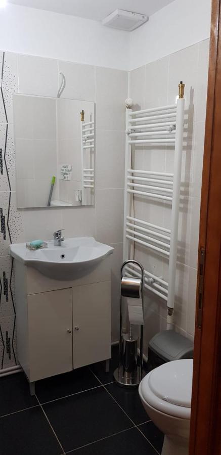 Casa Elena Eselnita Ξενοδοχείο Εξωτερικό φωτογραφία