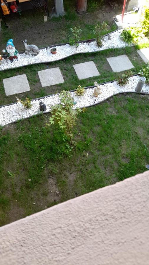 Casa Elena Eselnita Ξενοδοχείο Εξωτερικό φωτογραφία