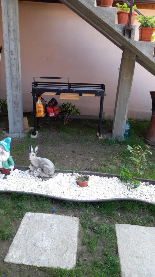 Casa Elena Eselnita Ξενοδοχείο Εξωτερικό φωτογραφία
