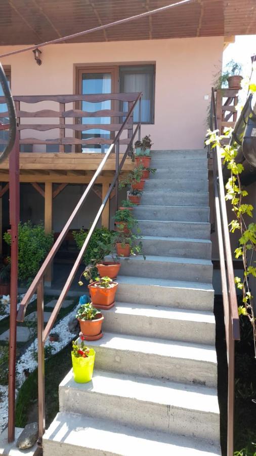 Casa Elena Eselnita Ξενοδοχείο Εξωτερικό φωτογραφία