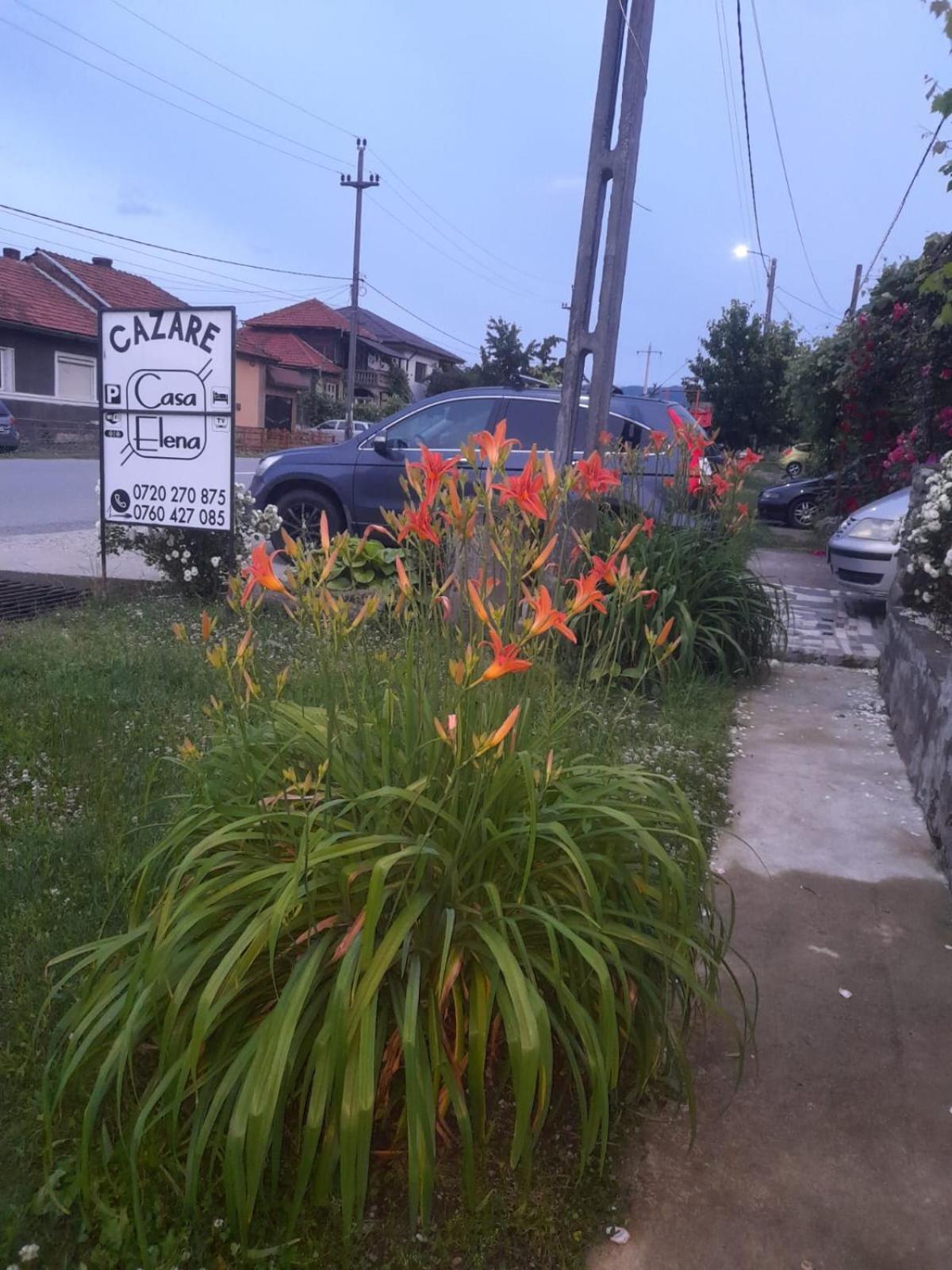 Casa Elena Eselnita Ξενοδοχείο Εξωτερικό φωτογραφία