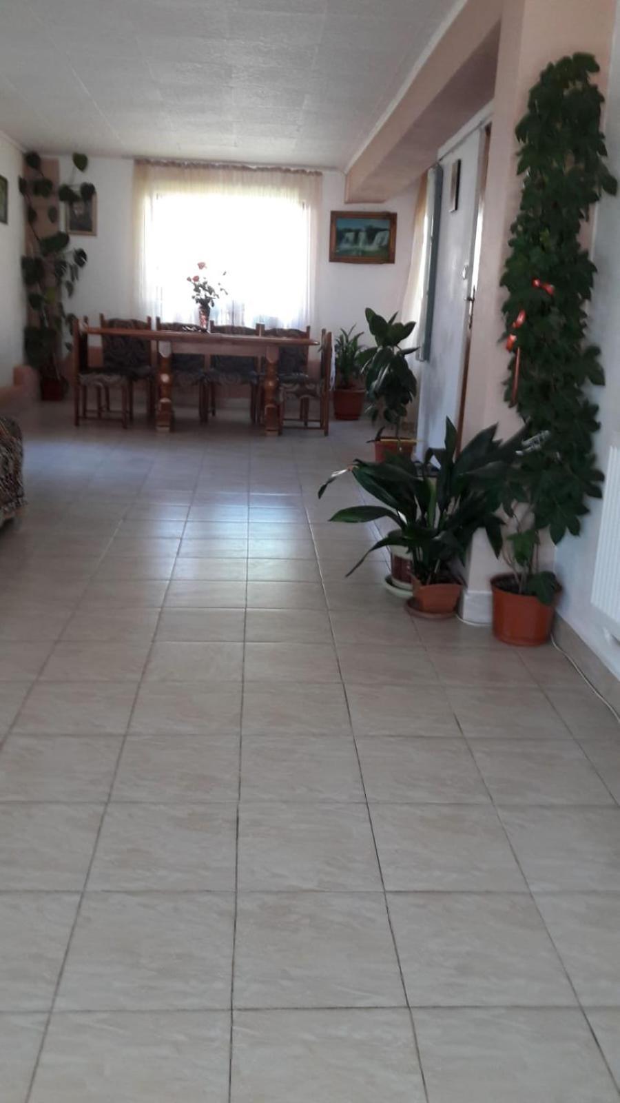 Casa Elena Eselnita Ξενοδοχείο Εξωτερικό φωτογραφία