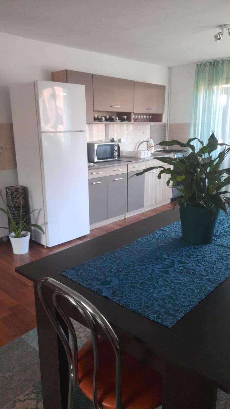Casa Elena Eselnita Ξενοδοχείο Εξωτερικό φωτογραφία