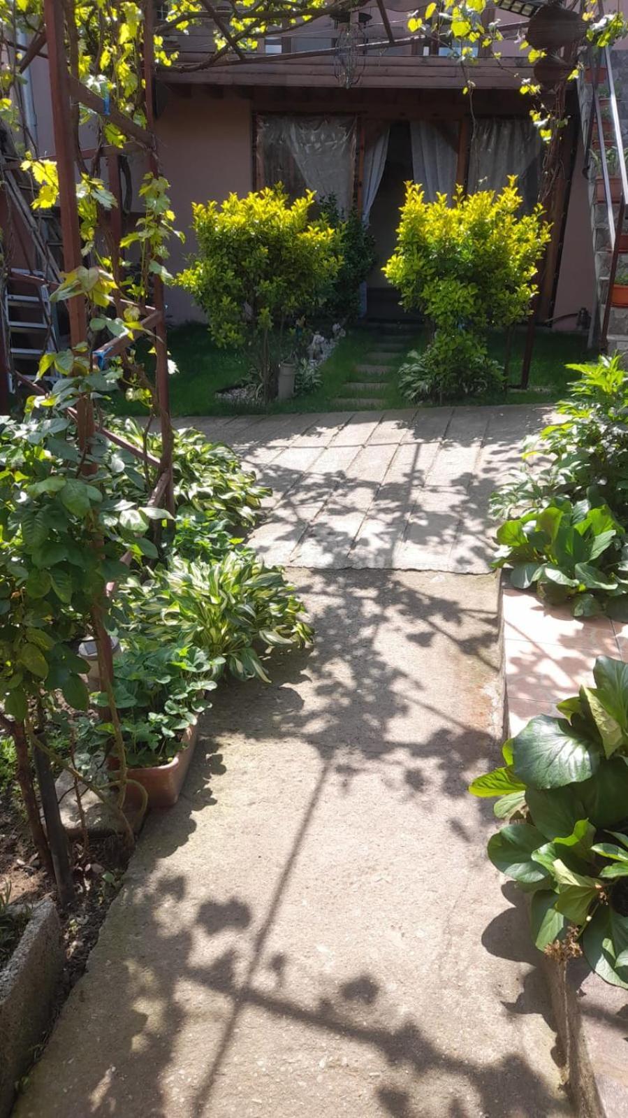 Casa Elena Eselnita Ξενοδοχείο Εξωτερικό φωτογραφία