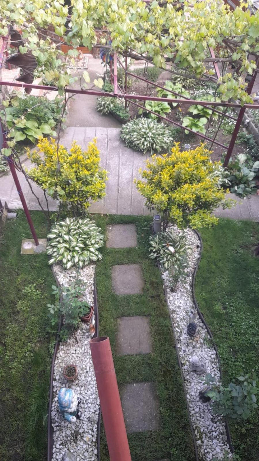 Casa Elena Eselnita Ξενοδοχείο Εξωτερικό φωτογραφία